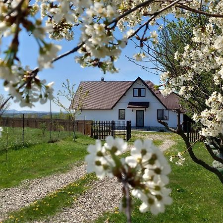 Casuta Din Deal Târgu Neamţ Bagian luar foto