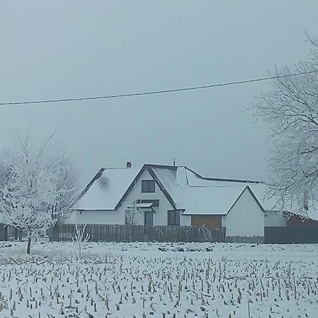 Casuta Din Deal Târgu Neamţ Bagian luar foto