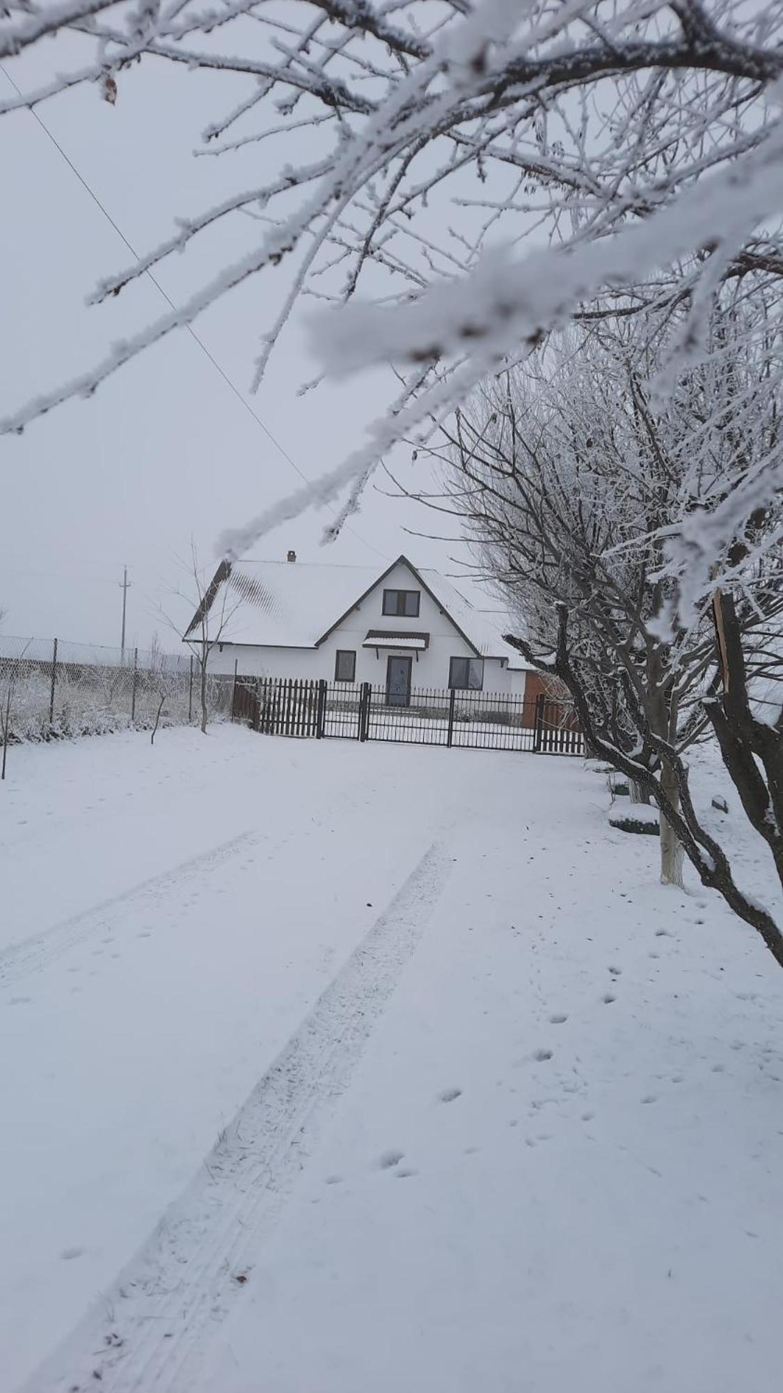 Casuta Din Deal Târgu Neamţ Bagian luar foto