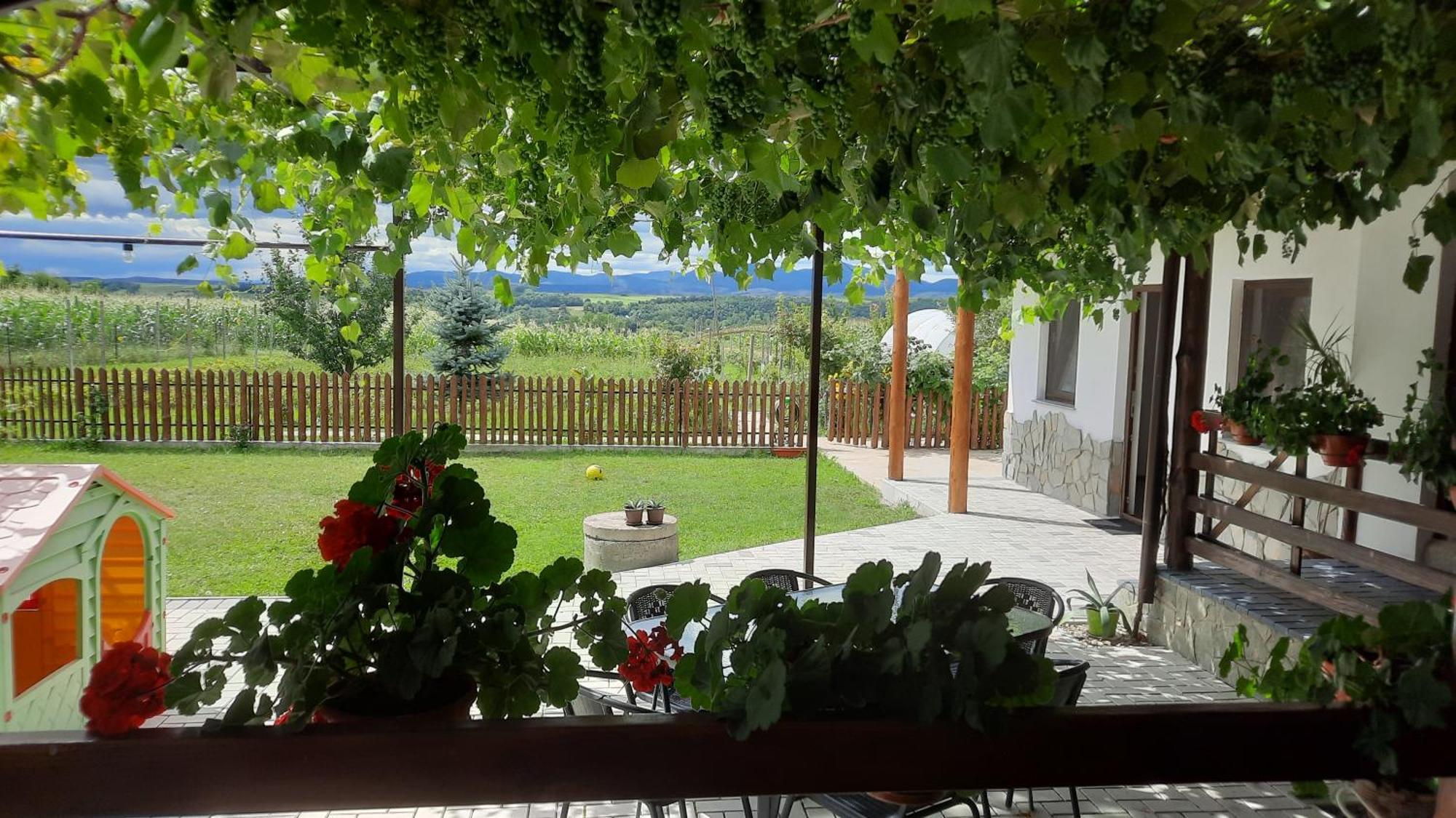 Casuta Din Deal Târgu Neamţ Bagian luar foto